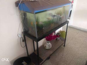 It's has 7-8 fishes, pebbles, oxygen filter,
