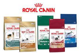Pedigree, drools, royal canin available at beed