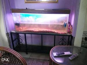 Water aquarium 5 fhut with stand,fish and all