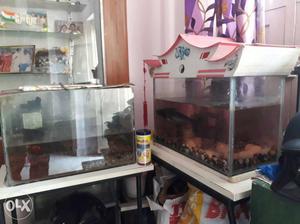 nos aquariums available with accessories