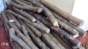 Fresh teak wood for sale