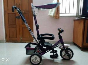 Tricycle for Toddlers