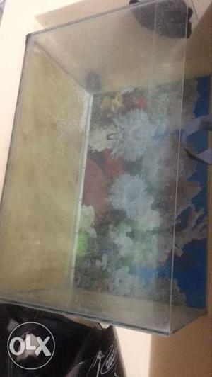 2 feet Fish tank with decorations