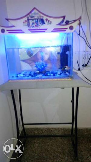 Aquarium(1.5ftx0.5ftx1ft) with stand