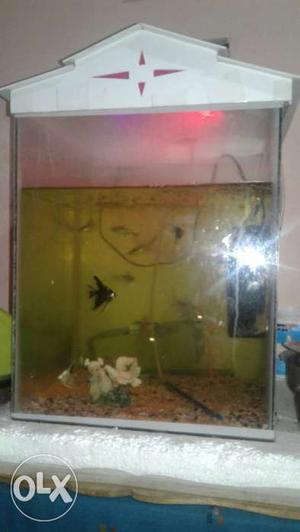 Aquariumfish box, motor and filter available