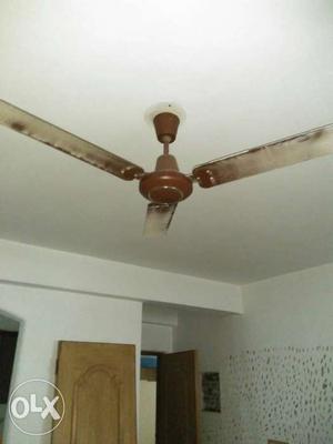 Brown 3-blade Ceiling Fan Bajaj