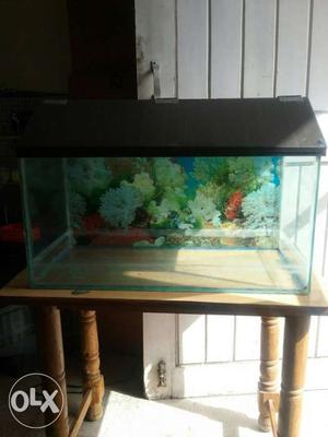 Dear customer, fish tank + upper cover for sale in deolali