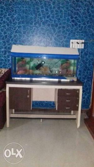 White And Blue Framed Fish Tank