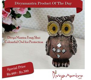 Buy Feng Shui Colourful Owl for Protection Nagpur