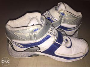 Hi guys willing to sell my puma bowling shoes