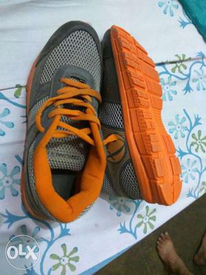 New Sport Shoes (Size-6)