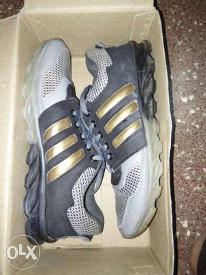 Pair Of Black-and-gray Adidas Running Shoes In Box