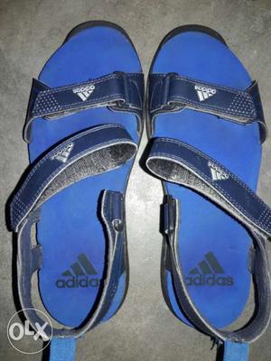 Pair Of Blue Adidas Vectro Sandals