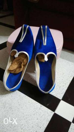 Pair Of Blue-and-beige Genie Shoes