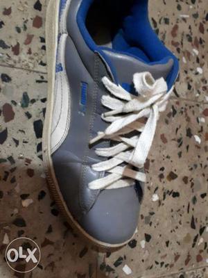 Puma basketball shoes selling at cheap price Will negotiate