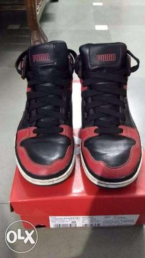 Limited Edition Puma Mid top Sneakers (Size 7/8)