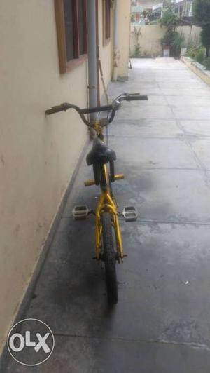 BMX bicycle from USA hand and pedal brakes