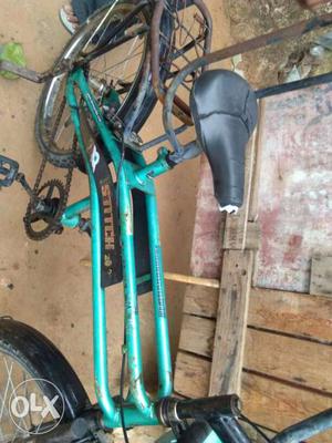 Serviced bicycle good condition
