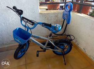 Toddler's Blue Bike