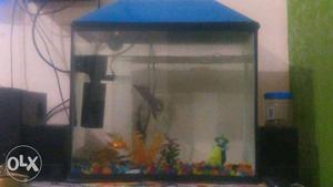 18 inch aquarium with 5 fishes and all accesories