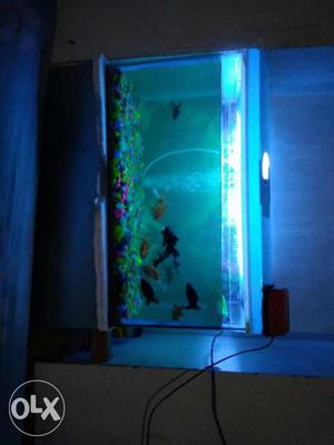 2 fit aquarium in a good condition 2 months old