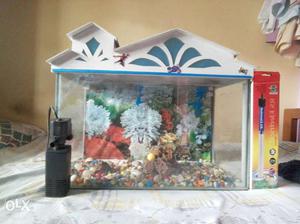 Am selling my aquarium with loo prizes with stons