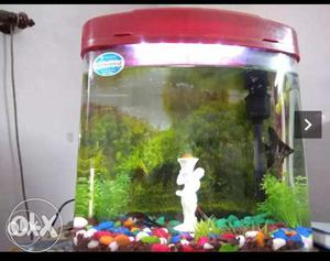 Aquarium 2 month only and new price 