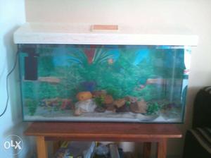 Aquarium all accessories and fish also in very
