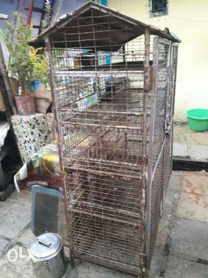 Big size cage for sale with best size