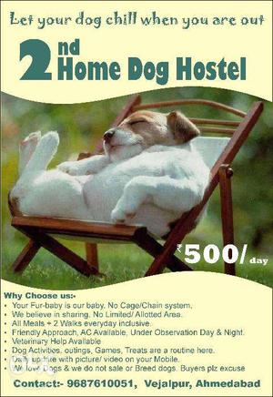 Dog hostel /pg /Boarding Available
