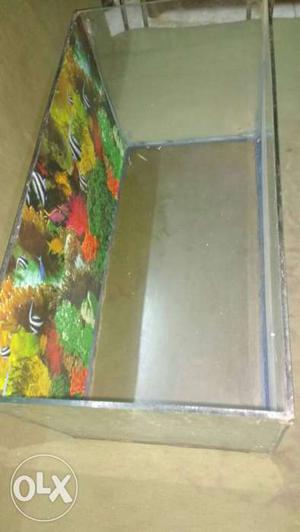 Empty Fish Tank with Back side plastic, size 2Lx1Hx1B, good