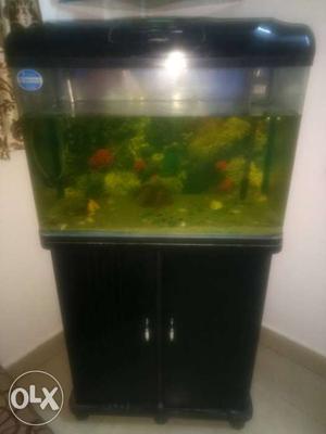 Fish aquarium with wooden cupboard with working