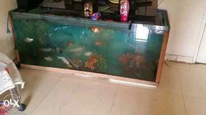Fish tank 5x2 Feet,for Sell.in Good Condition