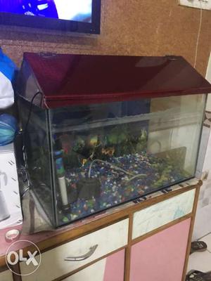 Fish tank with oxygen motor excellent condition