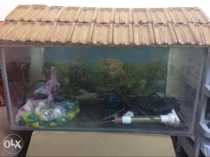 Fish tank with roof, colourful stones, oxygen