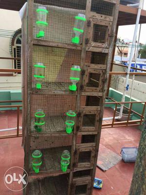 Five rack cage with feeder and 6 mouths of usage