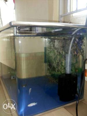 Imported tank new fish tank with oxigen Call me