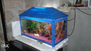 My New Aqurium Only 2Month Old and all Accessries