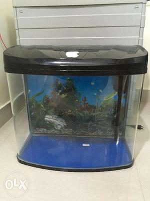RS-480A Fish Tank for sale Rs /-