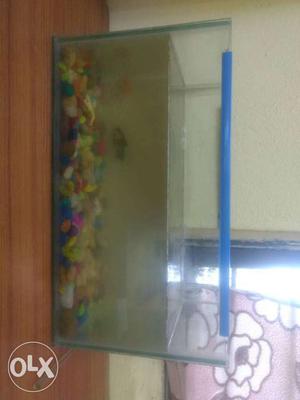 Rectangular Framed Fish Tank