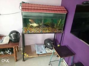 Rectangular fish Tank With stand