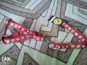 Red And White Paw Print Pet harness leash.