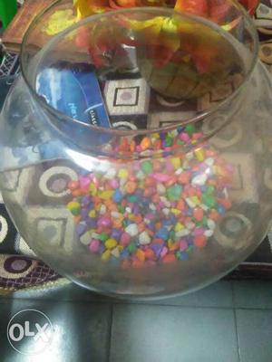 This is fish bowl with all accessories and medicines