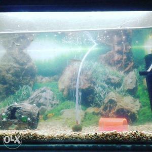 Urgent sell fish tank. Size  tank cover,