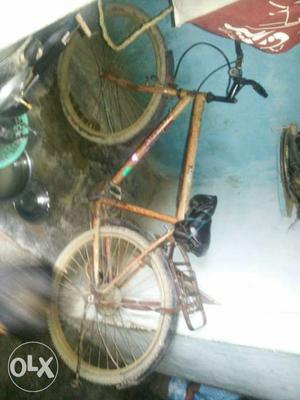 Brown Dutch Bicycle