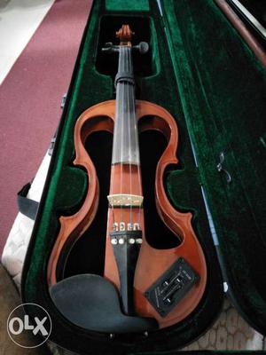 Brown And Black Violin In Case
