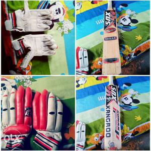 Brown Cricket Bats And Gloves Photo Collage