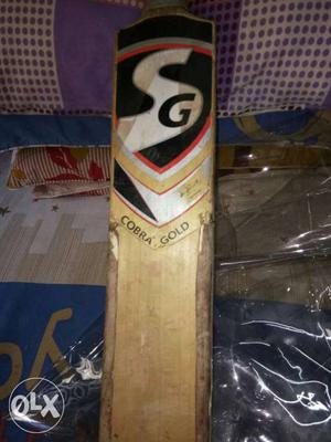 Dasicaly used Kashmir willow cricket bat 3month's