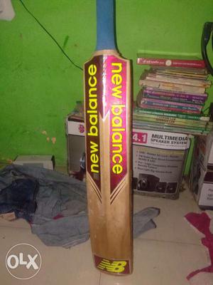 English willow season bat cricketer signature