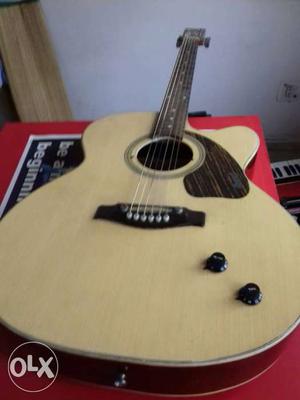 Givson guitar with nylon string in proper working